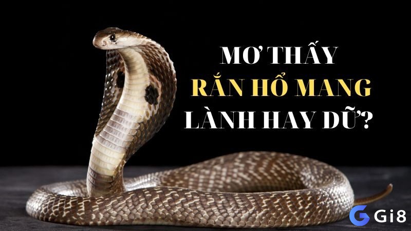 Giải mã giấc mơ thấy rắn hổ mang là lành hay là dữ? 