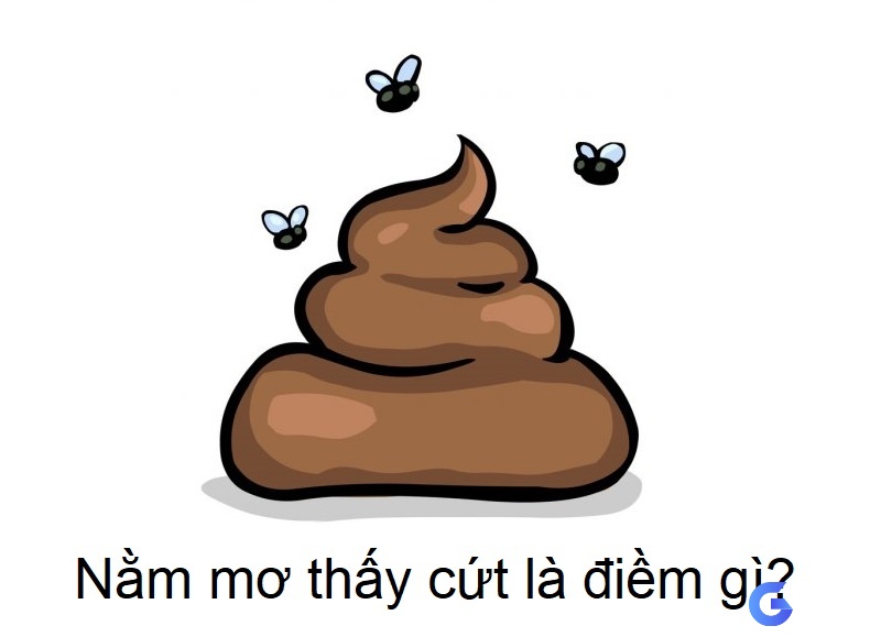 Nằm mơ thấy cứt đánh số gì - Luận giải giấc mơ để biết được dự báo