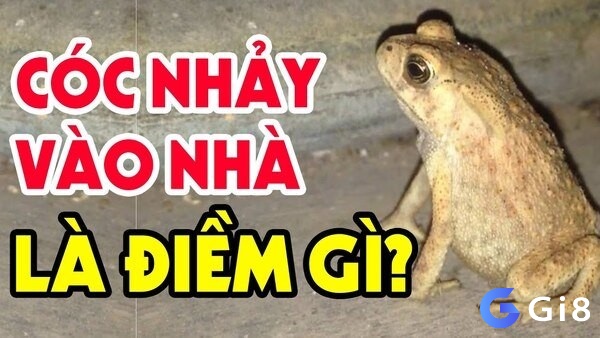 Tổng hợp những con số tài lộc khi gặp giấc mơ cóc nhảy vào nhà