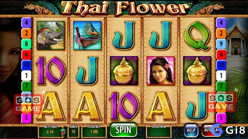 Nhấn Spin để bắt đầu một lượt quay với số tiền cược đã cài đặt