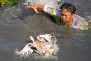 Nằm mơ thấy lội sông đánh số gì? Hé lộ con số may mắn