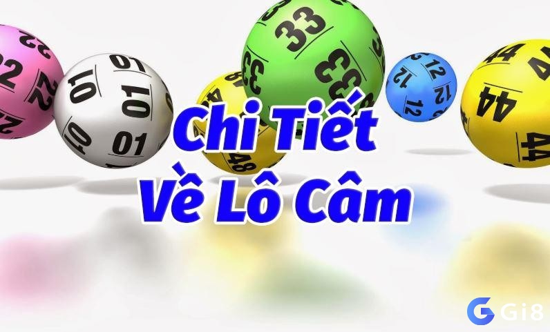 Áp dụng nhiều phương pháp để tăng tỷ lệ thành công khi lô câm đầu đánh con gì