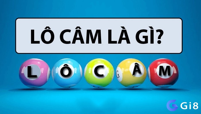 Giới thiệu về lô câm