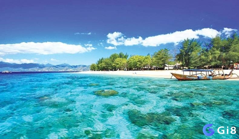 Giải mã giấc mơ thấy biển dựa vào trải nghiệm cụ thể 
