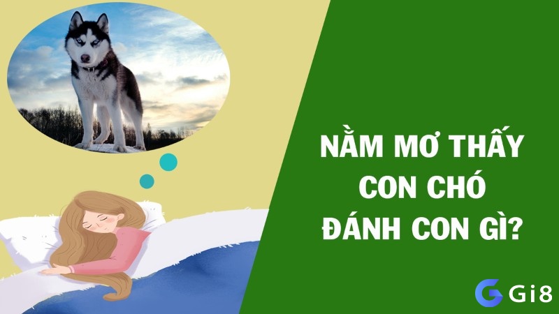 Giải mã giấc mơ thấy con chó mang tới con số may mắn 