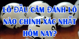 Đầu câm đuôi câm đánh lô nào? Bí quyết dự đoán số chính xác