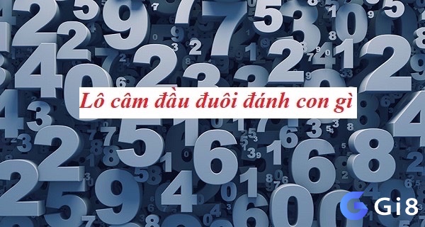 Người chơi theo dõi bảng kết quả để nhận biết lô đầu 4 câm và dự đoán con số dễ về
