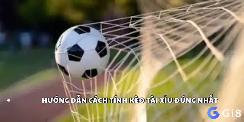 Các ví dụ thực tế về cách tính thắng thua kèo tài xỉu.